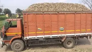 Gaadi overloading compilation vlog.                                #mahto bandu vlog#🙏👆👍