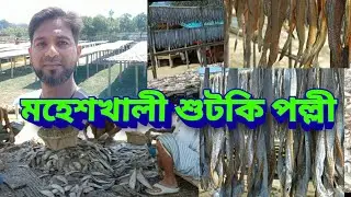 ||মহেশখালী শুটকি পল্লী || 🐠|Moheskhali sutki polli||🐡🐡🐠🐡🐡