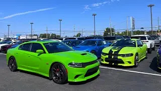Charger scat pack green go vs sublime green scat pack comparison!