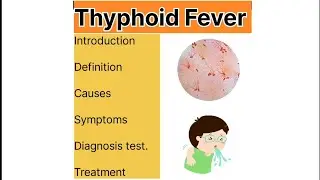 Typhoid fever in Hindi || Salmonella bacteria || causes and treatment of Typhoid Fever&nbsp;