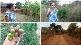 FINAL DE TARDE COM UM PASSEIO PELO SITIO + CONTANDO HISTÓRIAS ANTIGAS