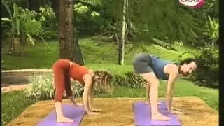 Yoga Zone 13