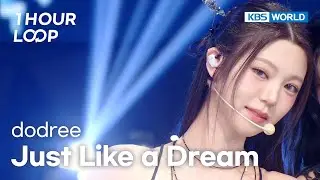[1HR LOOP🔥] dodree - Just Like a Dream [Music Bank] | KBS WORLD TV 260123
