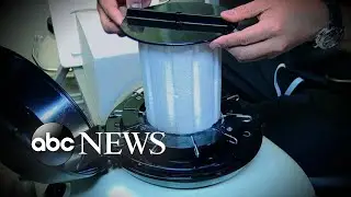 Woman sues hospital over frozen embryo storage | GMA