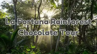 La Fortuna Rainforest Chocolate Tour