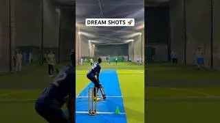 Cricket Batsman Dream Shots Unleashed 🤯 Batting Pure Quality Skills Displayed 🏏 #cricket #shorts