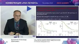 Перспективные направления в лечении больных МРЛ. Предикторы эффективности иммунохимиотерапии.