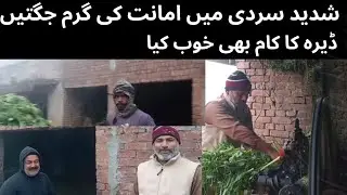 Morning Work at Dera | Part1 | in Extreme Cold | Village Life Vlog