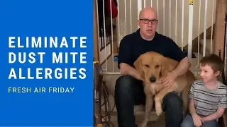 3 простых шага для устранения аллергии на пылевых клещей &mdash; Fresh Air Friday