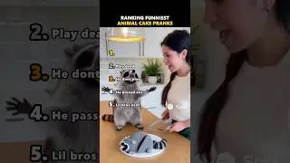 Ranking Funniest Animal Cake Pranks #funny #pranks #shorts