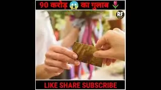 90 Crore 😱 Rose🌷 | 90 करोड़ 😱 का गुलाब🌷