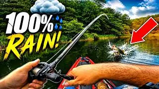 The RAIN Didn't Stop BASS from BITING! (Kayak & Bank Fishing)