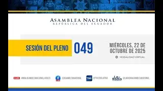 Sesi&oacute;n No. 049-AN-2025-2029 del Pleno de la Asamblea Nacional
