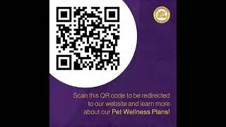 Vets In Practice - Pet Wellness Plans