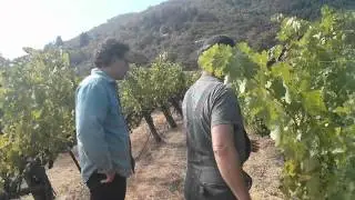 Greg La Follette and Ken in vineyard