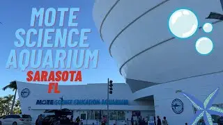 Mote Science Education Aquarium #aquarium #fish #sarasota 