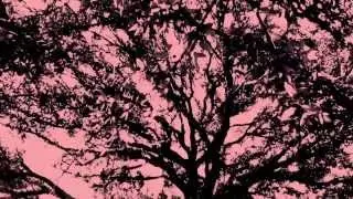 Bloody Birthday - 'Believer' [Trailer]