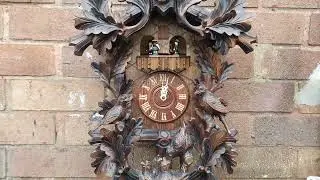 two black forest cuckoo clock 8 DAY