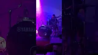 Oh Flamingo - Pat Sarabia Focus