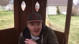 Backyard Birding