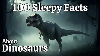 The Most Relaxing Facts About Dinosaurs | Science For Sleep