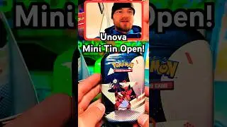 Pokemon Unova Mini Tin Opening! White Flare HIT!