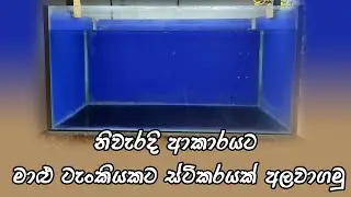 Let's stick a sticker on the fish tank in the right way
