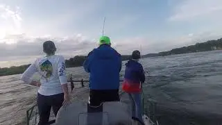 may 4th , a absolute spankfest on bluecats , non stop pole bending action , fort gibson lake