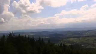 Startowisko żmij