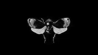 *FREE*madk1d x темный принц x metalcore Type Beat