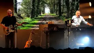 Richard Wright & David Gilmour