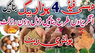 Desi Chicks farming Sale Price Update | Desi feed formula  -homemade feed formula -how make feedrate