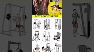 Powerful Leg Workout 💪 | Strong Quads, Hamstrings & Glutes