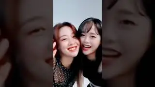 Loona Chu removal from band | #shorts #loonachuu #blackpink