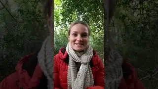 Climate driven plant pollinator interactions - Aoife &ndash; PhD student (Gill)