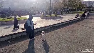 GİRESUN YAZDAN KALMA.  1