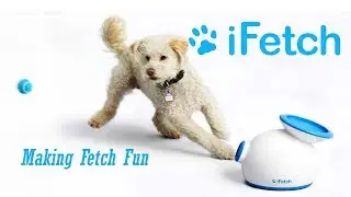 iFetch Interactive Ball Launchers for Dogs