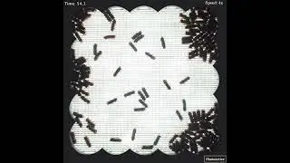 Cluster dynamics in macroscopic photoactive particles - High population, low intensity