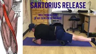 Sartorius Release