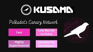 Kusama- Polkadot's Canary Network
