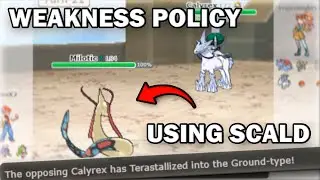 Genuis Ways to Setup Weakness Policy | Pokemon Showdown Random Battles