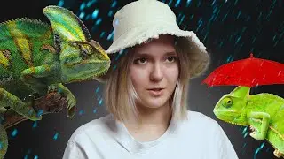 🌧️ Система осадков &mdash; Super Rain II. ОБЗОР. Для чего нужна и как собрать?