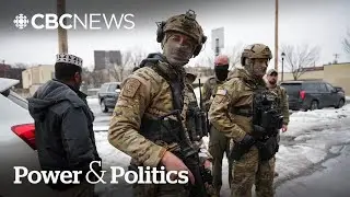 Domestic terrorism claim in fatal ICE shooting 'nonsensical': expert | Power & Politics