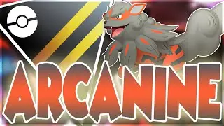 SUPER SPICY Hisuian Arcanine ROCKS AND SHOCKS The Ultra League!