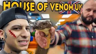 I WENT TO THE BEST VENOMOUS SNAKE SHOP IN THE UK