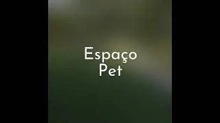 Conhe&ccedil;a o Pet Place da EcozVille!