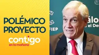 ¿QUÉ INTERESES HAY? La trama política tras proyecto Dominga - Contigo en La Mañana