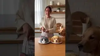 This cat freaks out after cutting cat cake! Watch the hilarious reaction #Cats #FunnyPets #CatCake