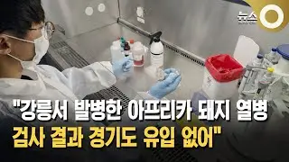 Gangneung ASF virus test results show no outbreak in Gyeonggi Province