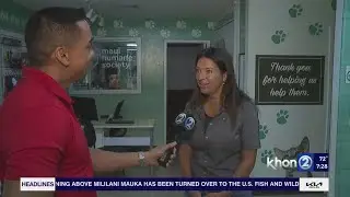MHS continues saving pets from fire impacted areas, needs your help